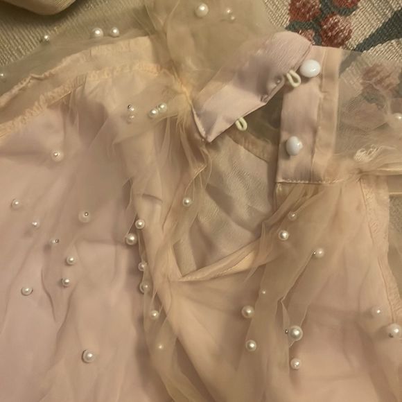 Pearled Pink Sheer Longsleeve Over Blouse - Picture 7 of 7